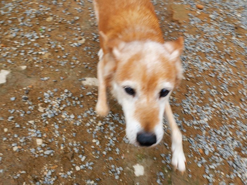 f:id:roukenhome-ann:20191010084255j:plain