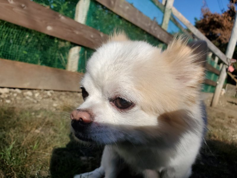 f:id:roukenhome-ann:20191010150913j:plain