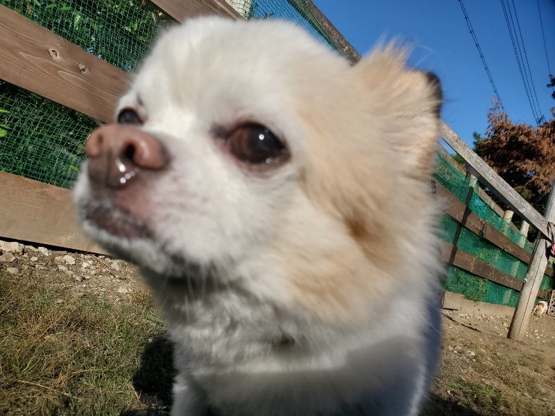 f:id:roukenhome-ann:20191010150925j:plain