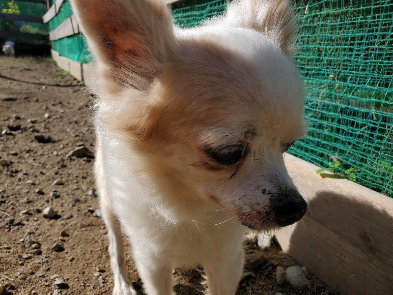 f:id:roukenhome-ann:20191010150948j:plain