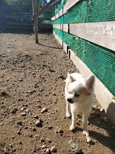 f:id:roukenhome-ann:20191010150952j:plain
