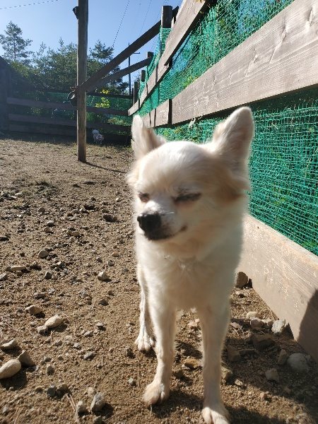 f:id:roukenhome-ann:20191010150957j:plain