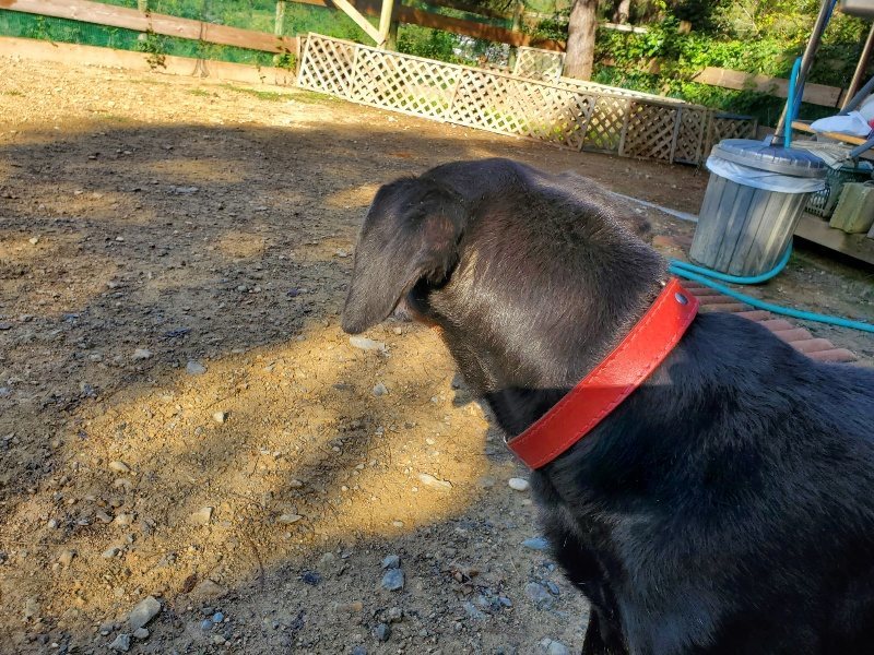 f:id:roukenhome-ann:20191010151054j:plain