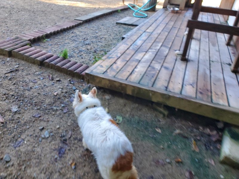 f:id:roukenhome-ann:20191010151204j:plain