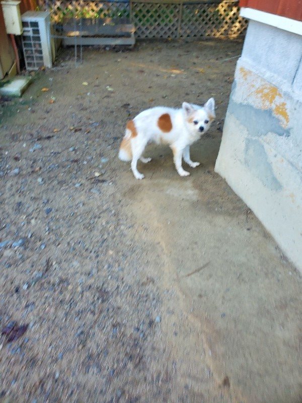 f:id:roukenhome-ann:20191010151214j:plain