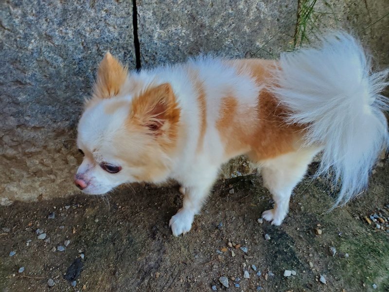 f:id:roukenhome-ann:20191010151235j:plain