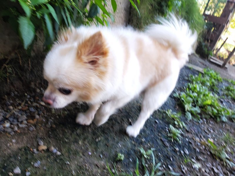 f:id:roukenhome-ann:20191010151245j:plain