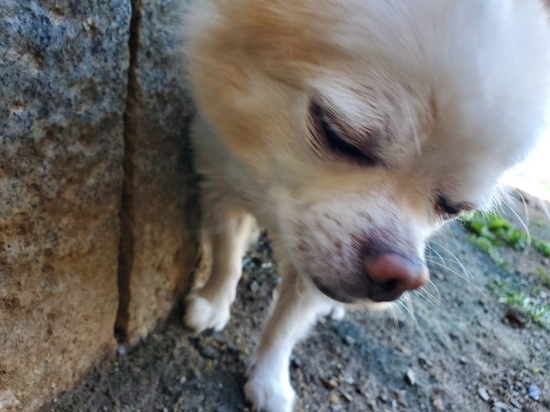 f:id:roukenhome-ann:20191010151250j:plain