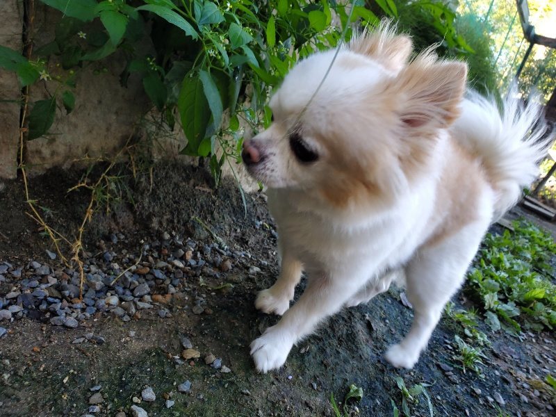 f:id:roukenhome-ann:20191010151256j:plain
