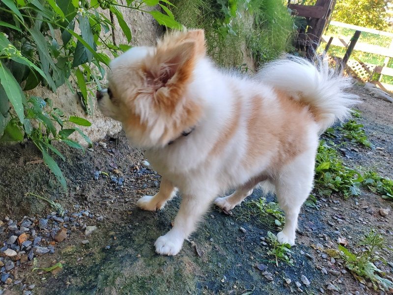 f:id:roukenhome-ann:20191010151303j:plain