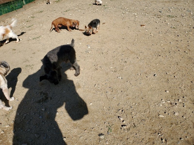 f:id:roukenhome-ann:20191010153050j:plain