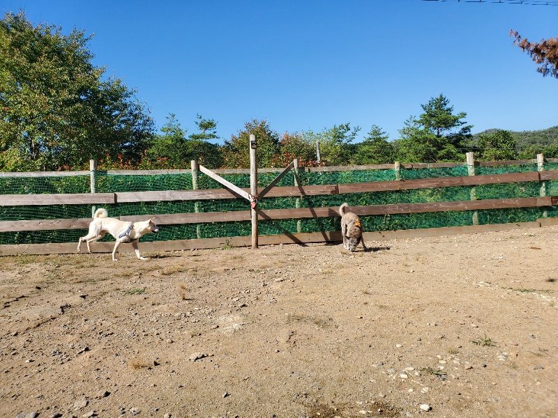 f:id:roukenhome-ann:20191010153129j:plain