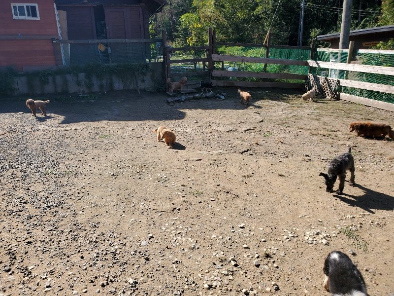 f:id:roukenhome-ann:20191010153246j:plain