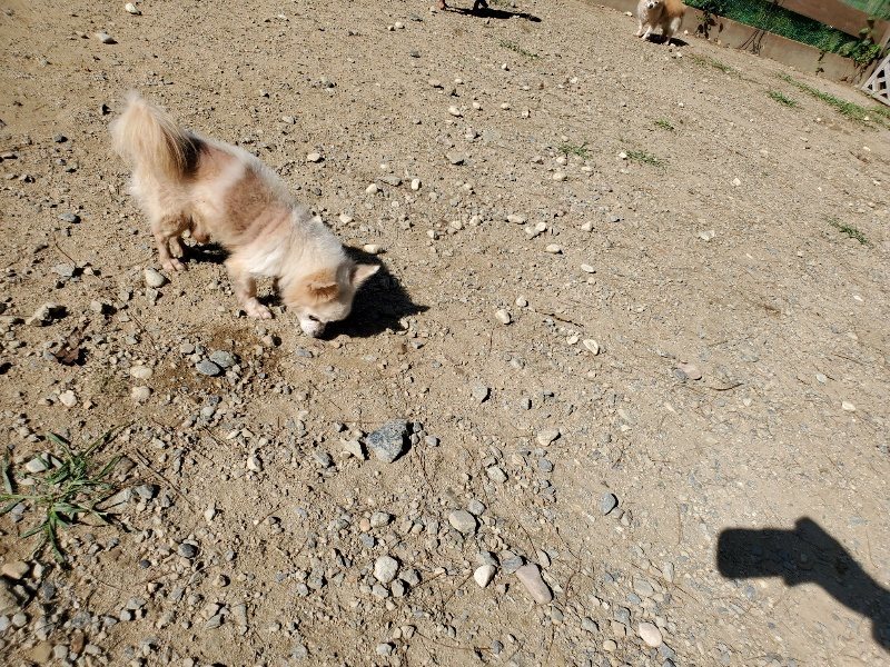 f:id:roukenhome-ann:20191010153252j:plain