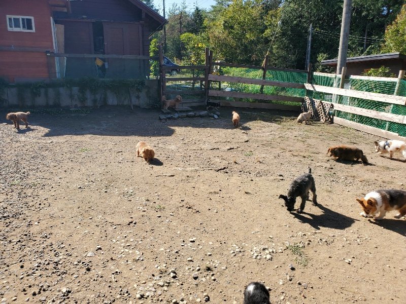 f:id:roukenhome-ann:20191010153301j:plain