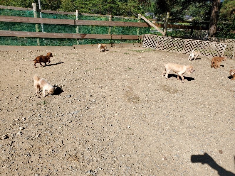 f:id:roukenhome-ann:20191010153309j:plain