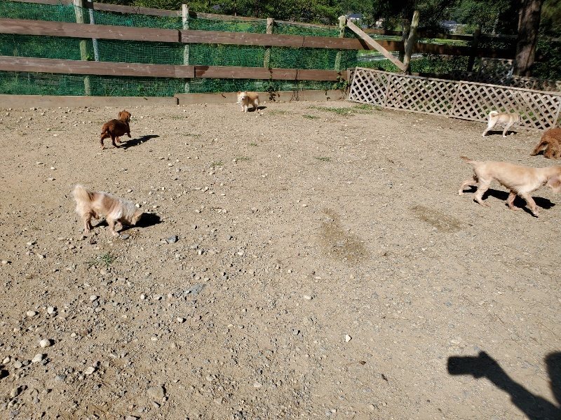 f:id:roukenhome-ann:20191010153319j:plain