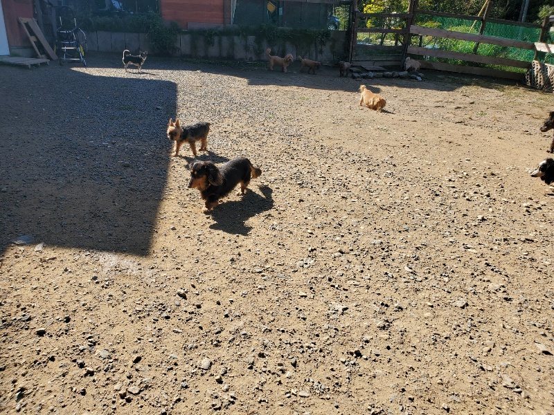 f:id:roukenhome-ann:20191010153438j:plain
