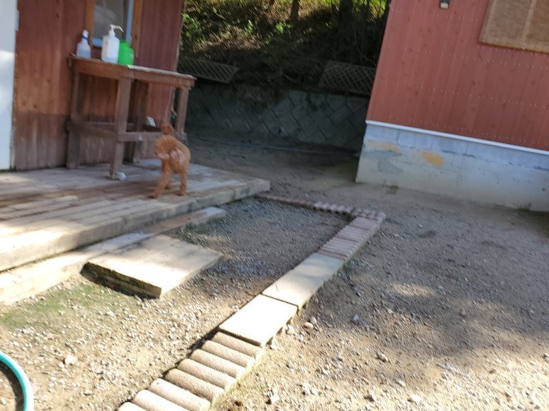 f:id:roukenhome-ann:20191010153513j:plain