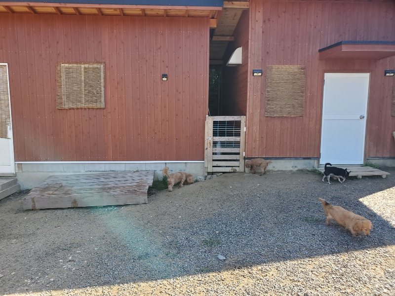 f:id:roukenhome-ann:20191010153535j:plain