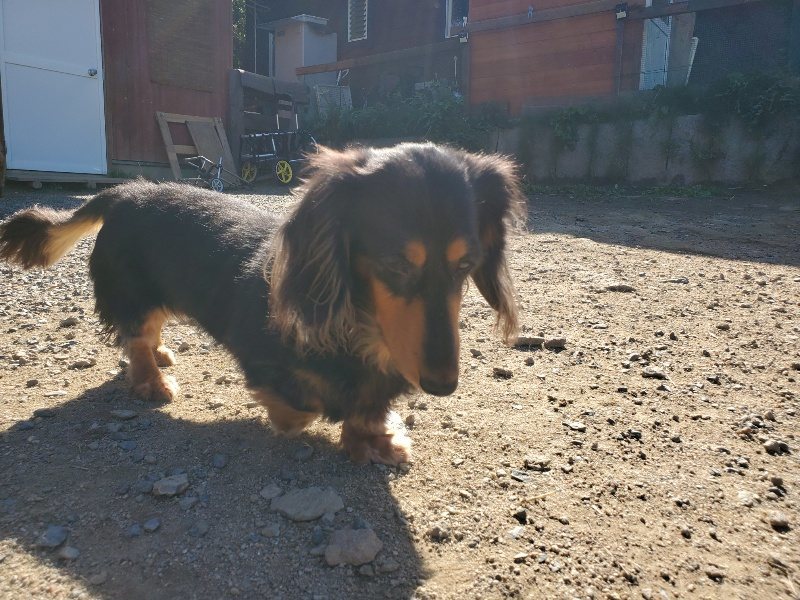 f:id:roukenhome-ann:20191010153542j:plain
