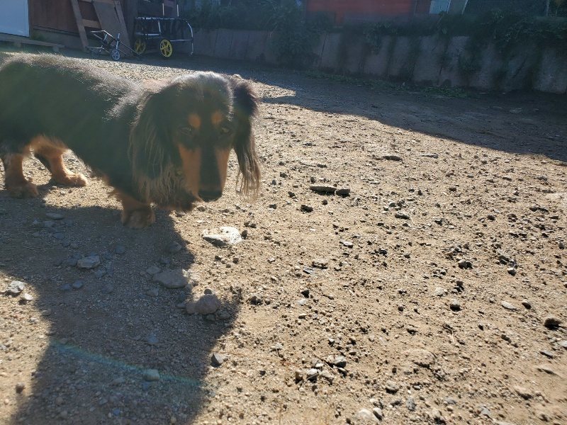 f:id:roukenhome-ann:20191010153552j:plain