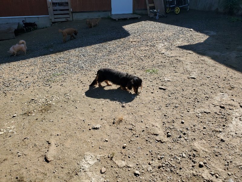f:id:roukenhome-ann:20191010153618j:plain
