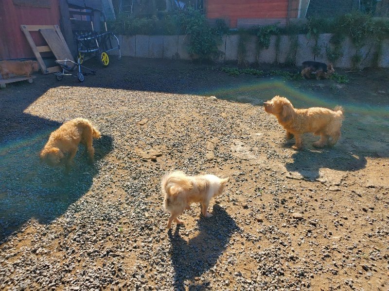 f:id:roukenhome-ann:20191010172407j:plain