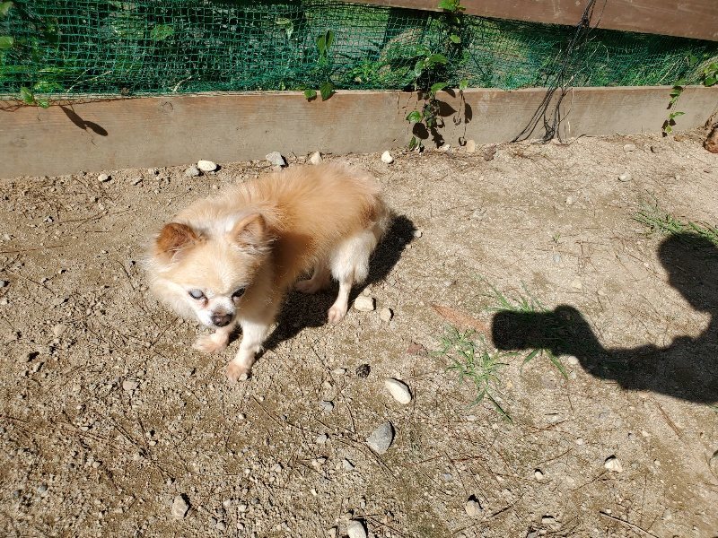 f:id:roukenhome-ann:20191010172904j:plain