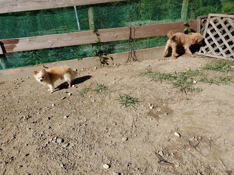 f:id:roukenhome-ann:20191010172913j:plain