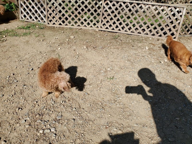 f:id:roukenhome-ann:20191010173017j:plain