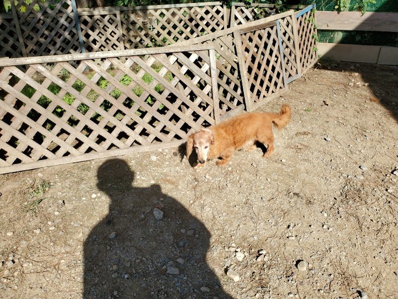 f:id:roukenhome-ann:20191010173044j:plain