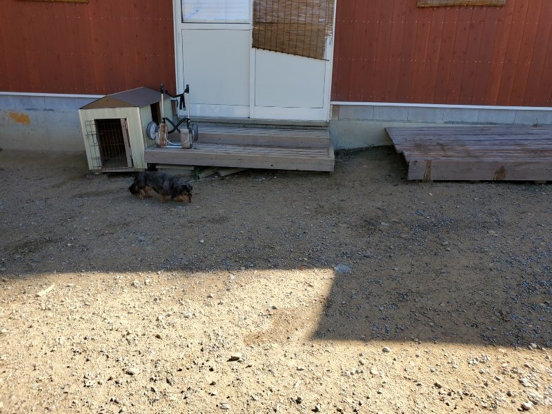 f:id:roukenhome-ann:20191010173246j:plain