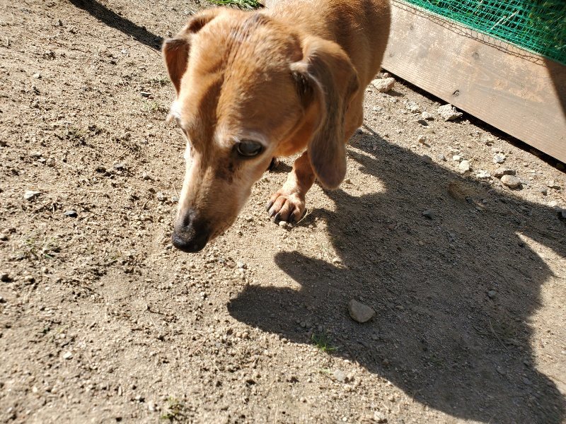 f:id:roukenhome-ann:20191010174927j:plain