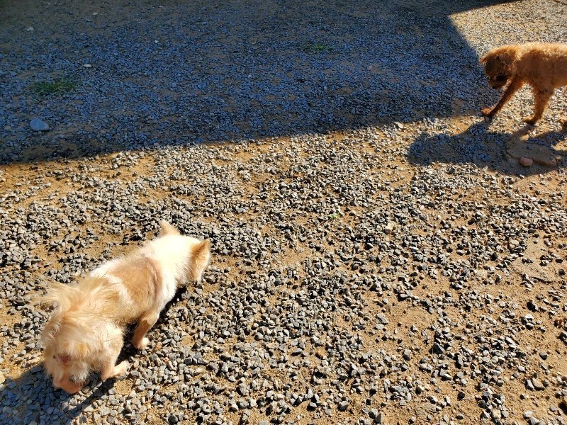 f:id:roukenhome-ann:20191010174936j:plain