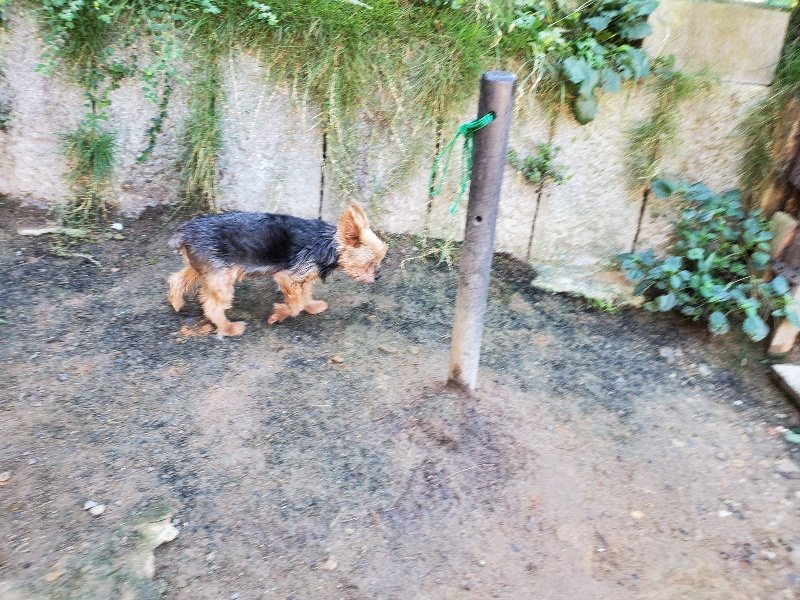 f:id:roukenhome-ann:20191010175052j:plain