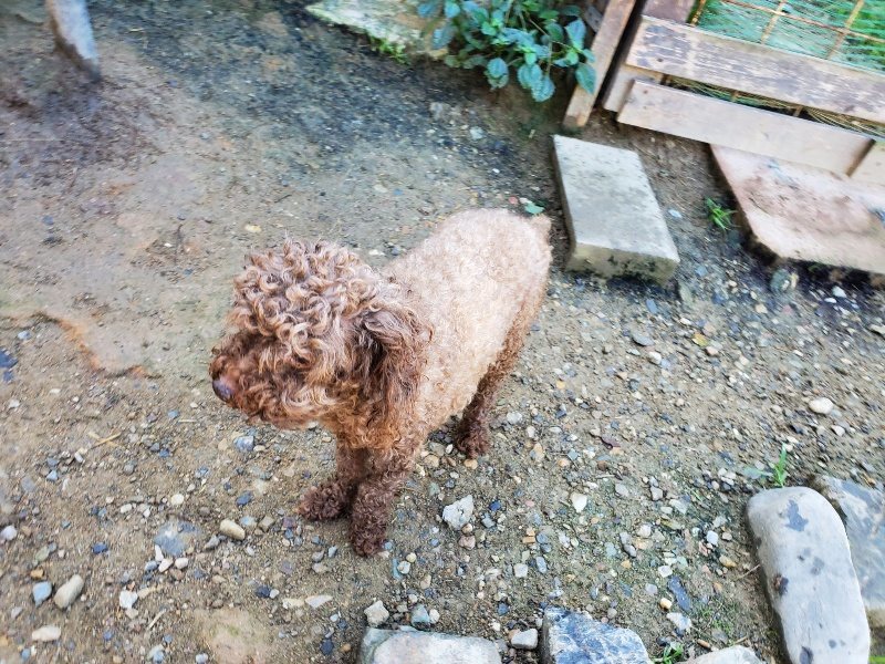 f:id:roukenhome-ann:20191010175059j:plain