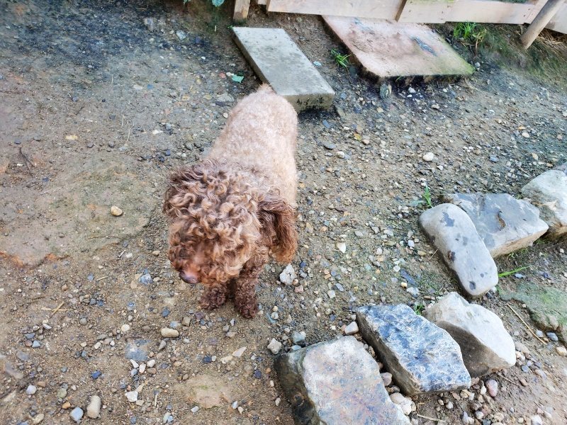 f:id:roukenhome-ann:20191010175111j:plain