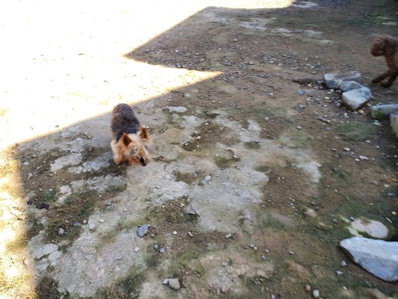 f:id:roukenhome-ann:20191010175159j:plain
