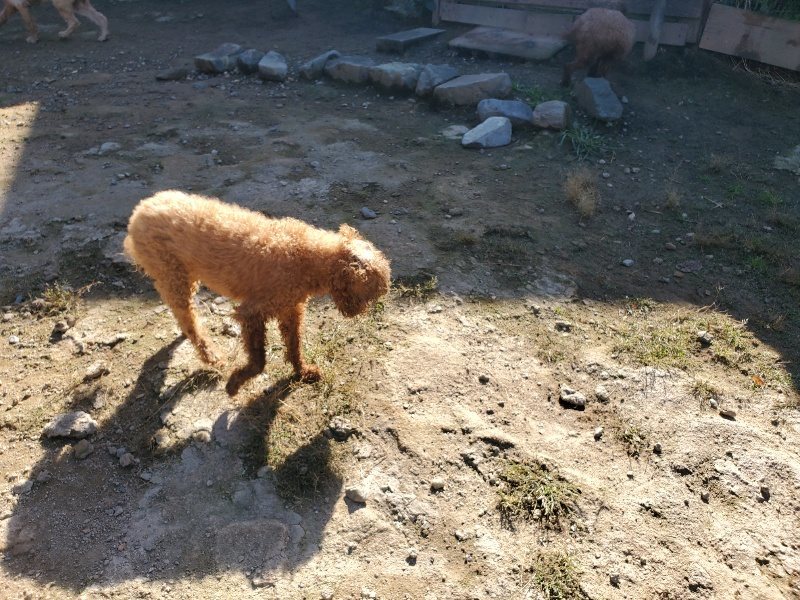 f:id:roukenhome-ann:20191010175235j:plain
