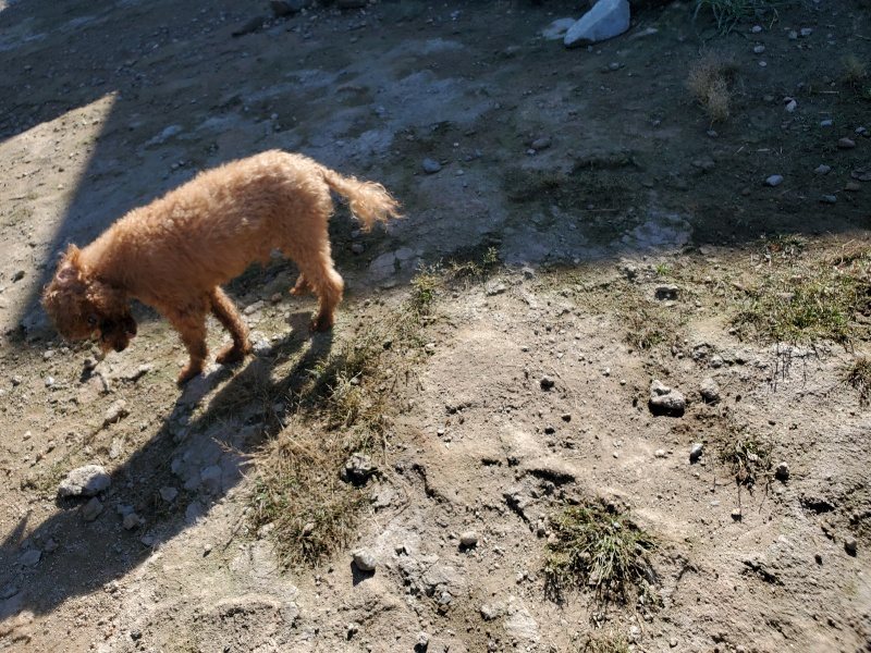 f:id:roukenhome-ann:20191010175304j:plain