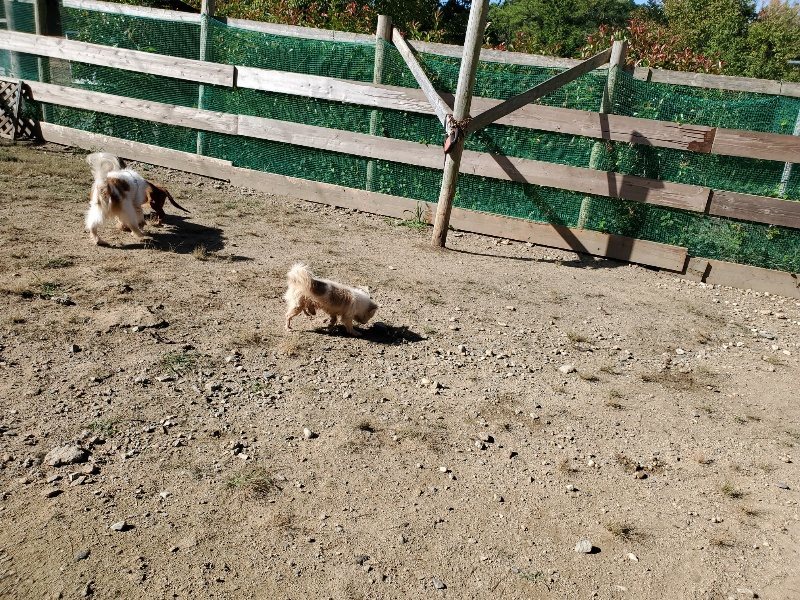 f:id:roukenhome-ann:20191010180201j:plain