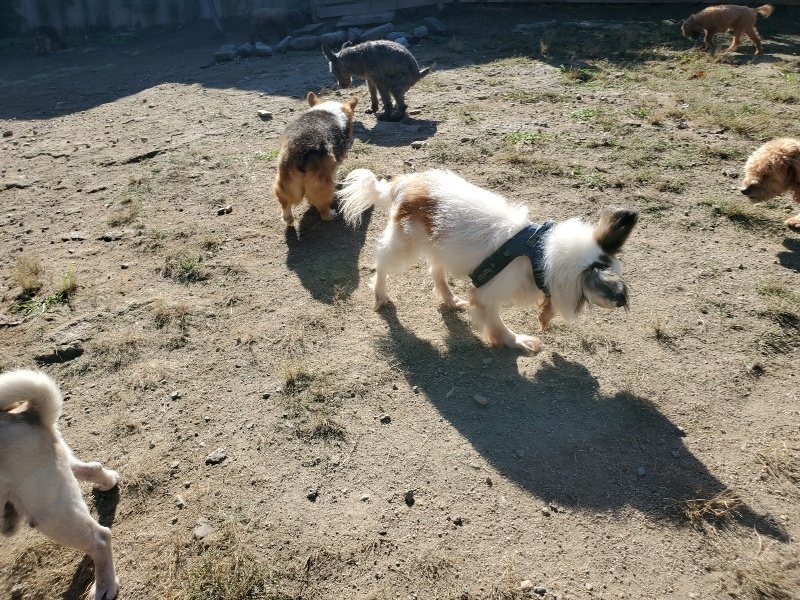 f:id:roukenhome-ann:20191010180238j:plain