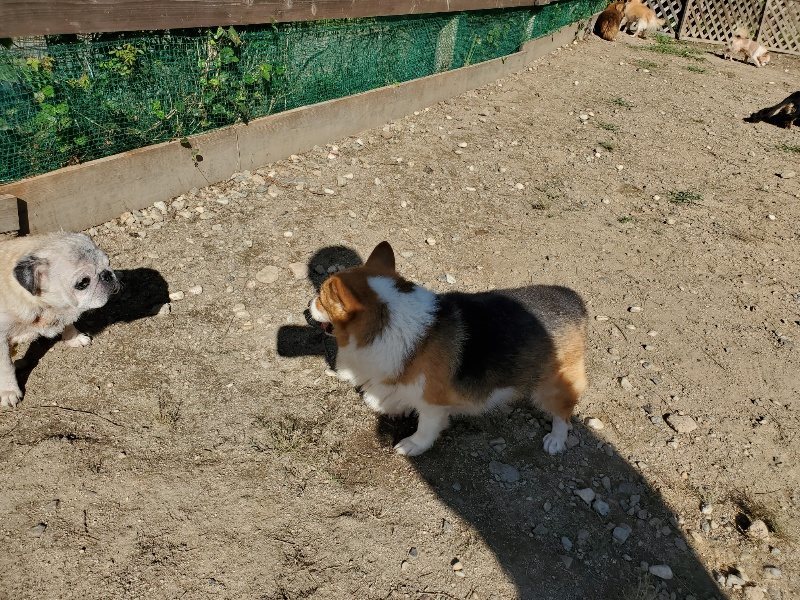 f:id:roukenhome-ann:20191010180516j:plain