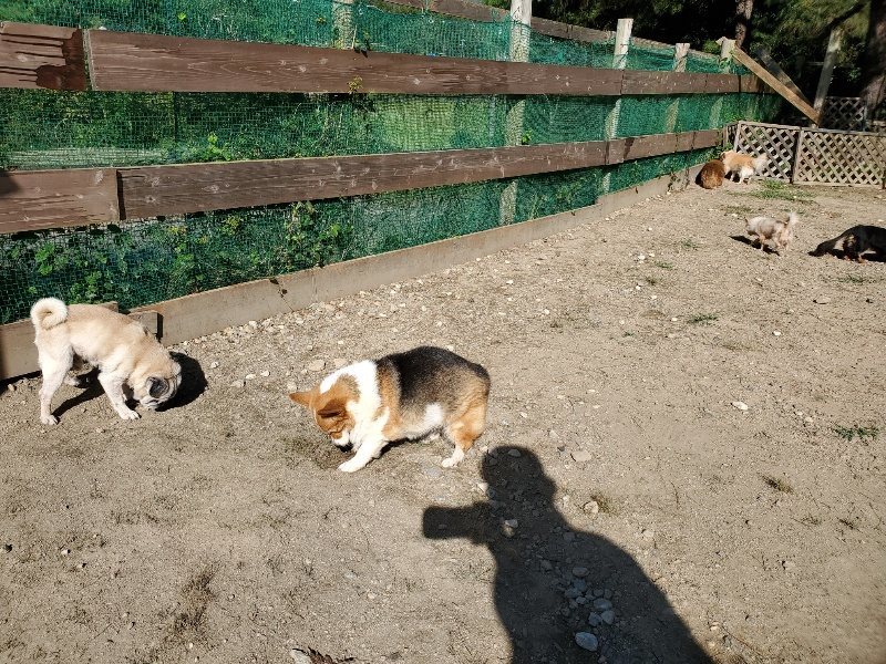 f:id:roukenhome-ann:20191010180534j:plain