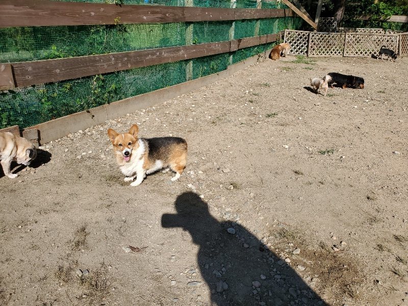 f:id:roukenhome-ann:20191010180554j:plain