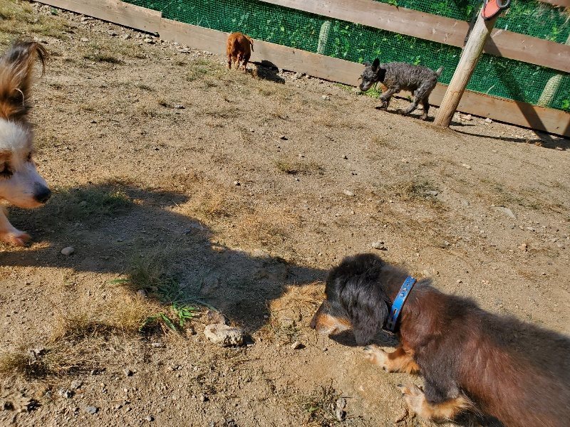 f:id:roukenhome-ann:20191010180638j:plain