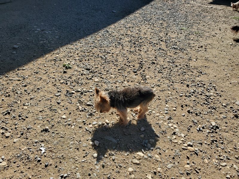 f:id:roukenhome-ann:20191010181112j:plain