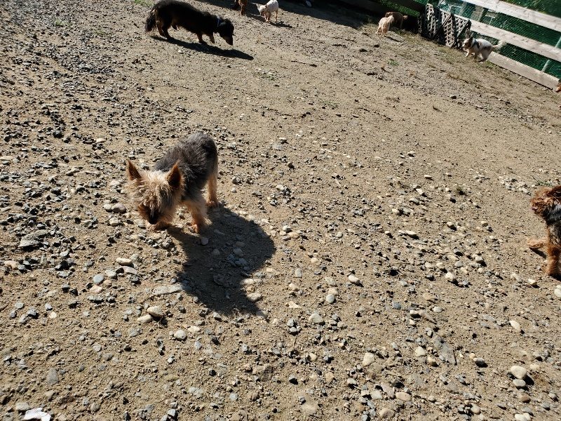 f:id:roukenhome-ann:20191010181122j:plain
