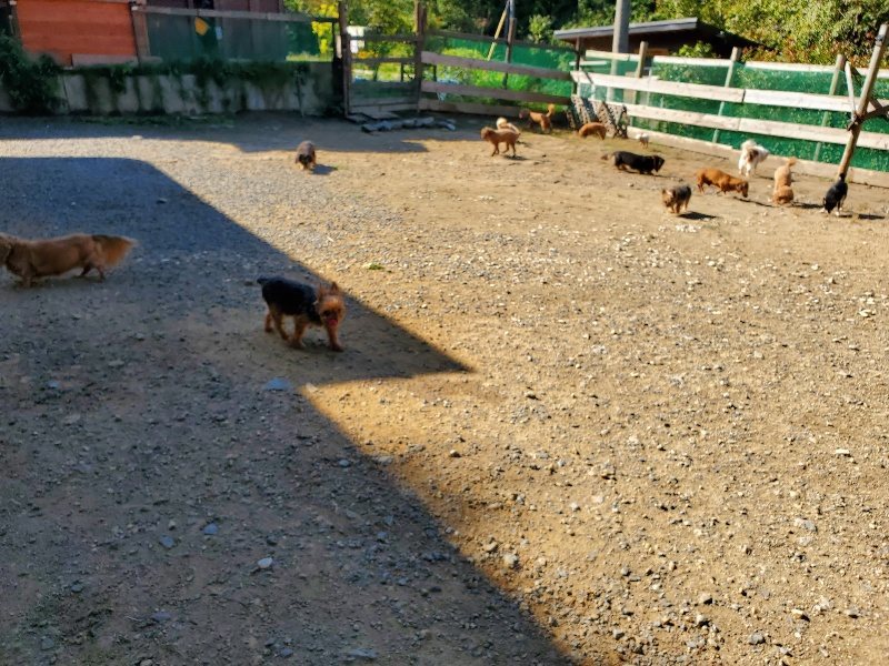 f:id:roukenhome-ann:20191010181303j:plain